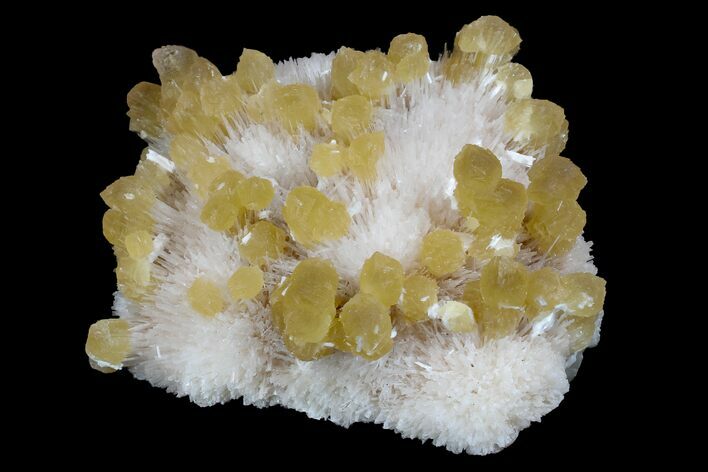 Yellow Calcite On Scolecite (Zeolite) Sprays - Maharashtra, India #168694